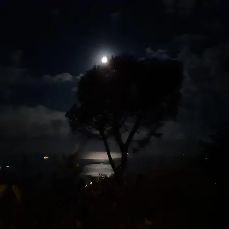 Il Mare Nel Bosco Con Terrazza Nella Natura, Vista Mare, E Isole 레리치