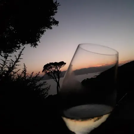 Tatil Evi Il Mare Nel Bosco Con Terrazza Nella Natura, Vista Mare, E Isole *