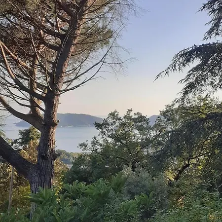 Il Mare Nel Bosco Con Terrazza Nella Natura, Vista Mare, E Isole Holiday home *